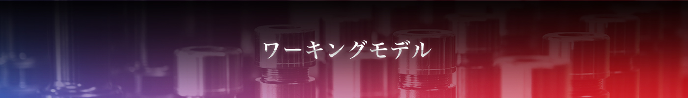 ワーキングモデル