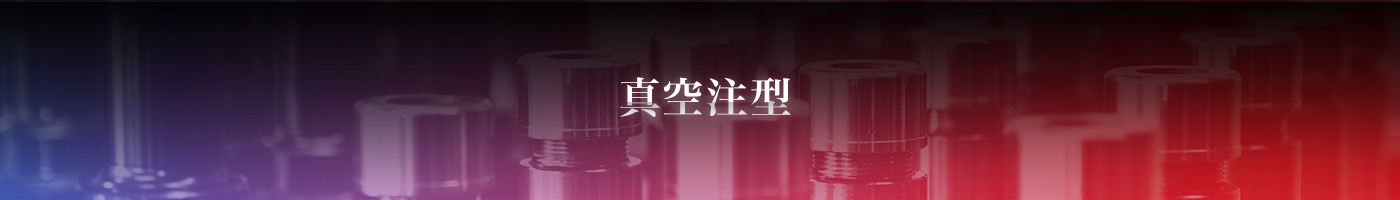 真空注型